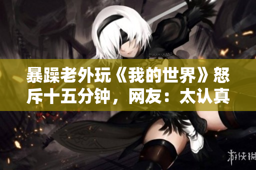 暴躁老外玩《我的世界》怒斥十五分钟，网友：太认真了！