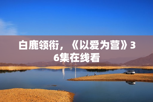 白鹿领衔，《以爱为营》36集在线看
