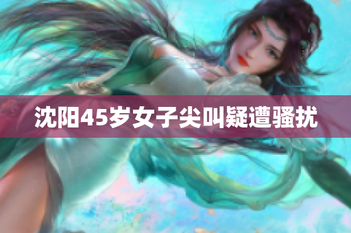 沈阳45岁女子尖叫疑遭骚扰