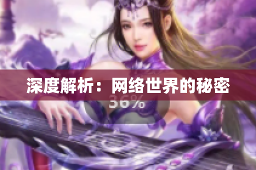 深度解析：网络世界的秘密