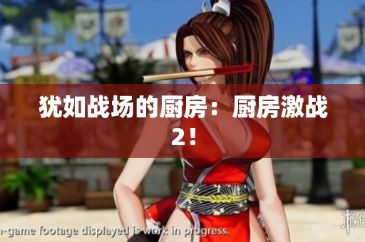 犹如战场的厨房：厨房激战2！
