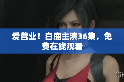 爱营业！白鹿主演36集，免费在线观看