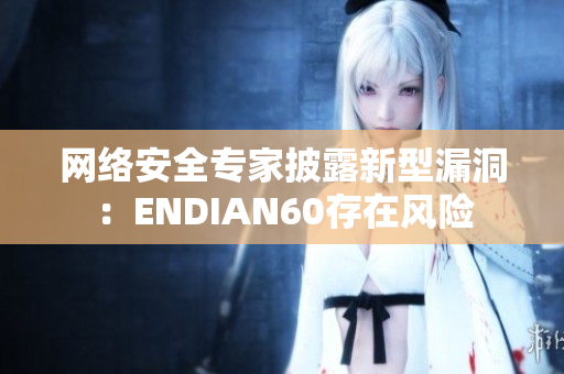 网络安全专家披露新型漏洞：ENDIAN60存在风险
