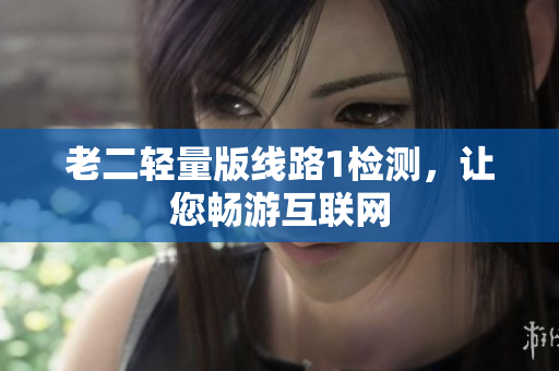 老二轻量版线路1检测，让您畅游互联网