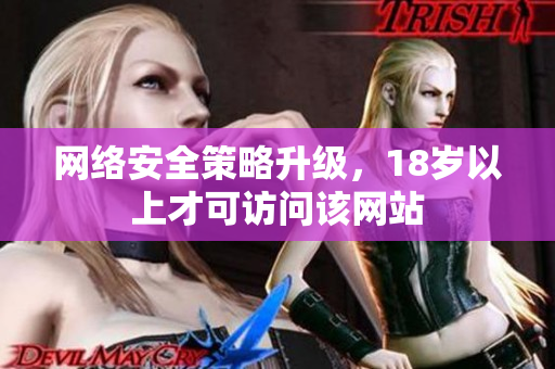 网络安全策略升级，18岁以上才可访问该网站