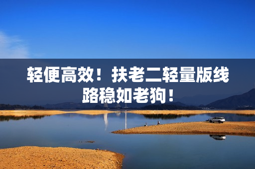轻便高效！扶老二轻量版线路稳如老狗！