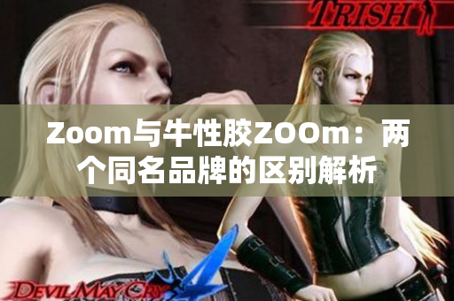 Zoom与牛性胶ZOOm：两个同名品牌的区别解析