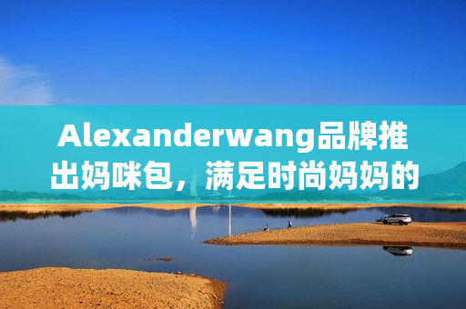 Alexanderwang品牌推出妈咪包，满足时尚妈妈的需求