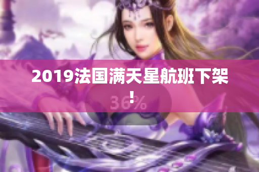 2019法国满天星航班下架！