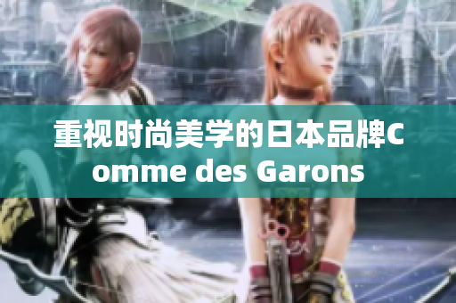 重视时尚美学的日本品牌Comme des Garons