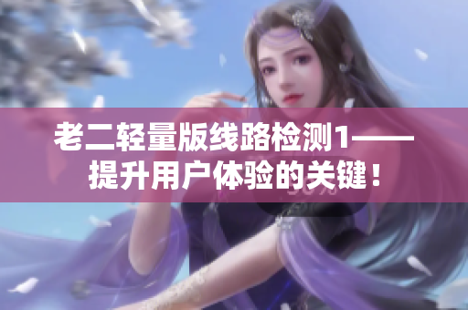 老二轻量版线路检测1——提升用户体验的关键！
