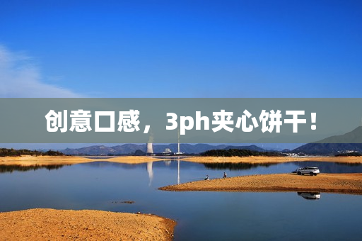 创意口感，3ph夹心饼干！