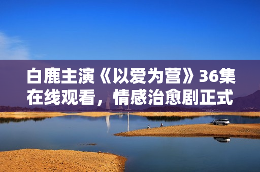 白鹿主演《以爱为营》36集在线观看，情感治愈剧正式上线！