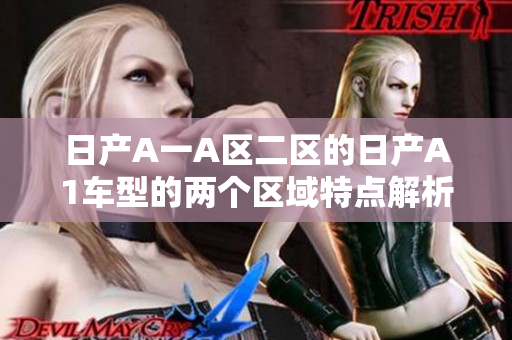 日产A一A区二区的日产A1车型的两个区域特点解析