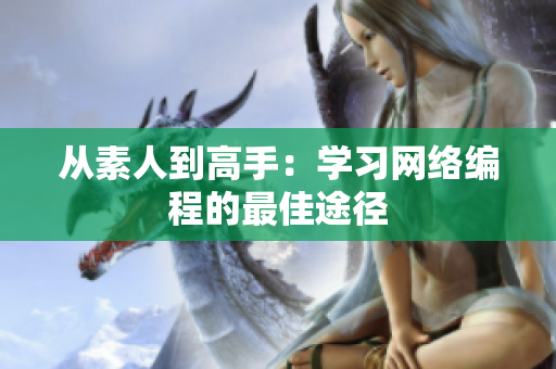 从素人到高手：学习网络编程的最佳途径