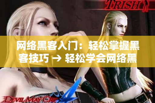 网络黑客入门：轻松掌握黑客技巧 → 轻松学会网络黑客技巧：免费视频