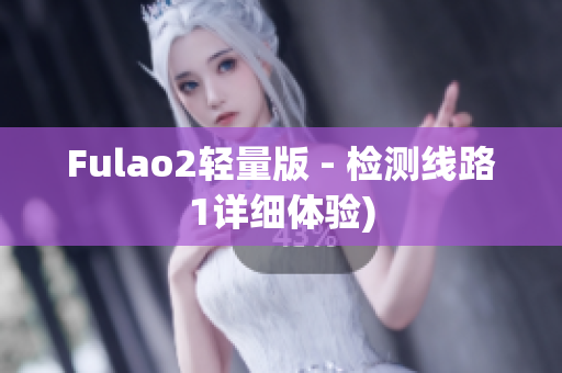 Fulao2轻量版 - 检测线路1详细体验)