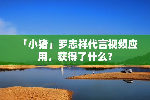「小猪」罗志祥代言视频应用，获得了什么？