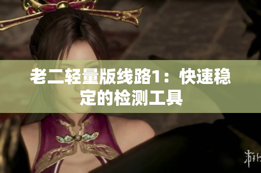 老二轻量版线路1：快速稳定的检测工具
