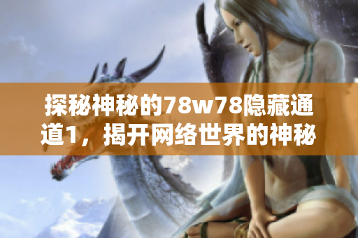 探秘神秘的78w78隐藏通道1，揭开网络世界的神秘面纱
