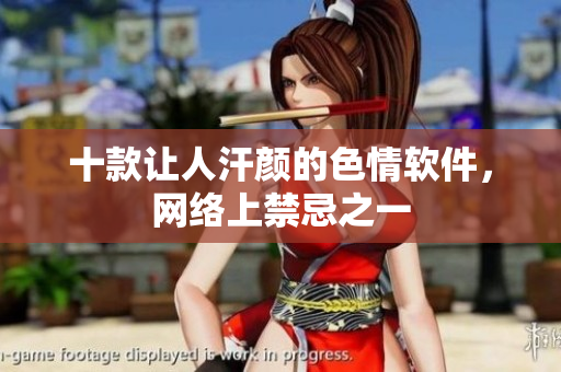 十款让人汗颜的色情软件，网络上禁忌之一