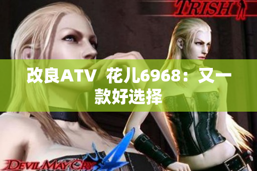 改良ATV  花儿6968：又一款好选择