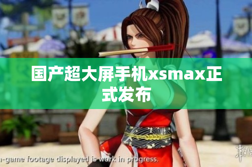 国产超大屏手机xsmax正式发布