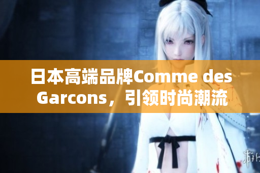 日本高端品牌Comme des Garcons，引领时尚潮流