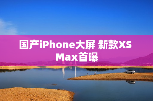 国产iPhone大屏 新款XS Max首曝