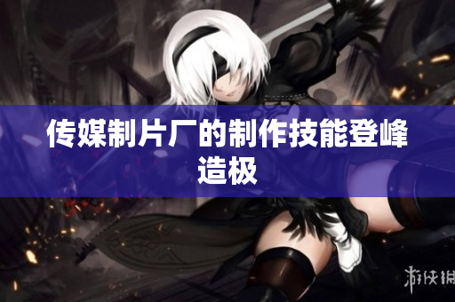 传媒制片厂的制作技能登峰造极