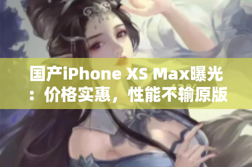 国产iPhone XS Max曝光：价格实惠，性能不输原版
