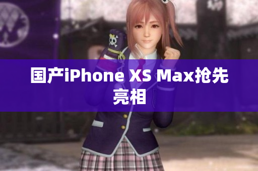 国产iPhone XS Max抢先亮相
