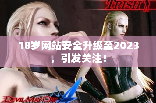 18岁网站安全升级至2023，引发关注！