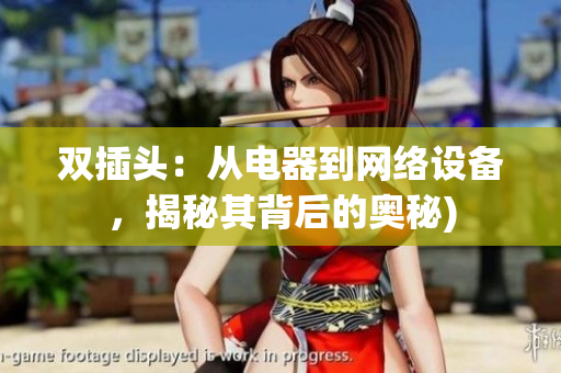 双插头：从电器到网络设备，揭秘其背后的奥秘)
