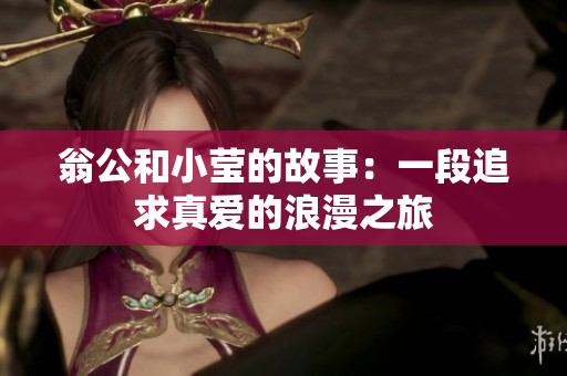 翁公和小莹的故事：一段追求真爱的浪漫之旅