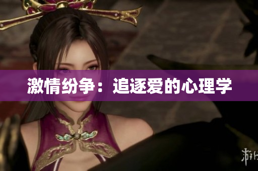 激情纷争：追逐爱的心理学