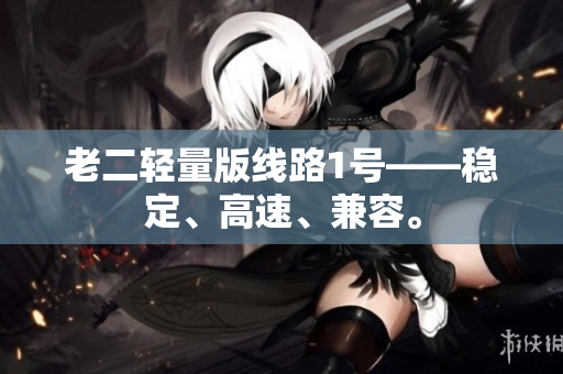 老二轻量版线路1号——稳定、高速、兼容。