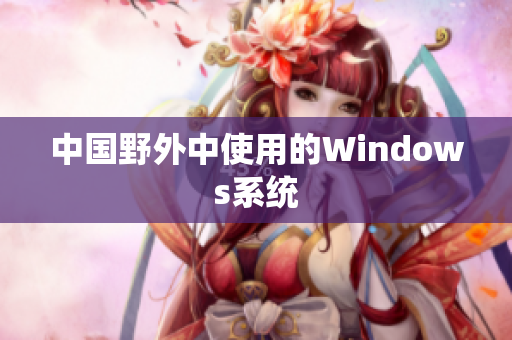 中国野外中使用的Windows系统