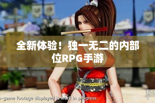 全新体验！独一无二的内部位RPG手游