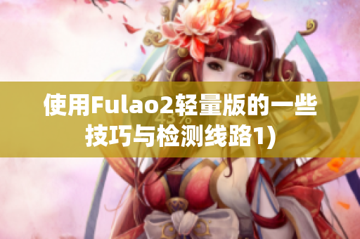 使用Fulao2轻量版的一些技巧与检测线路1)
