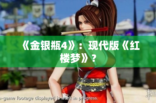 《金银瓶4》：现代版《红楼梦》？