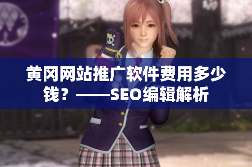 黄冈网站推广软件费用多少钱？——SEO编辑解析