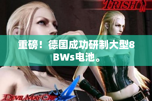 重磅！德国成功研制大型8BWs电池。