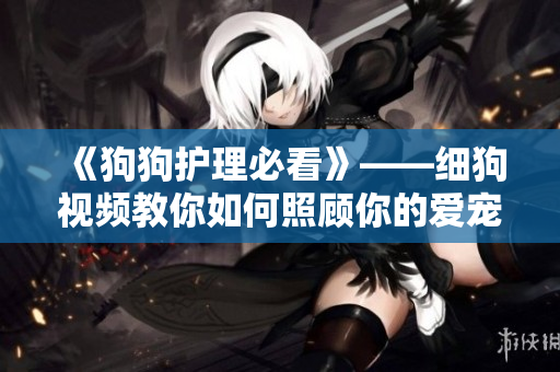 《狗狗护理必看》——细狗视频教你如何照顾你的爱宠