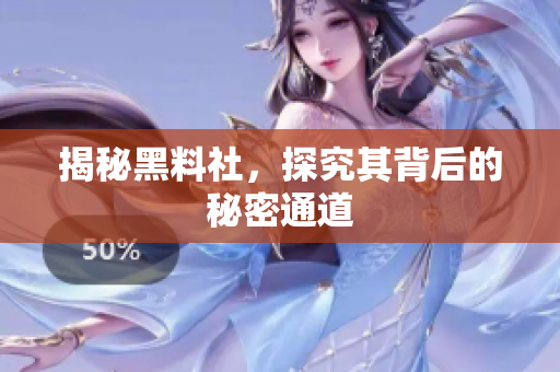 揭秘黑料社，探究其背后的秘密通道